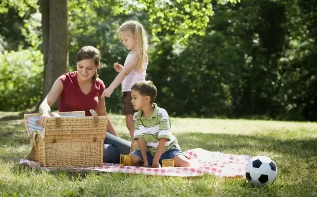 Собираемся на семейный пикник с ребенком. Как организовать? Что с собой взять?
