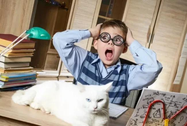 Синдром отличника и как с ним бороться?